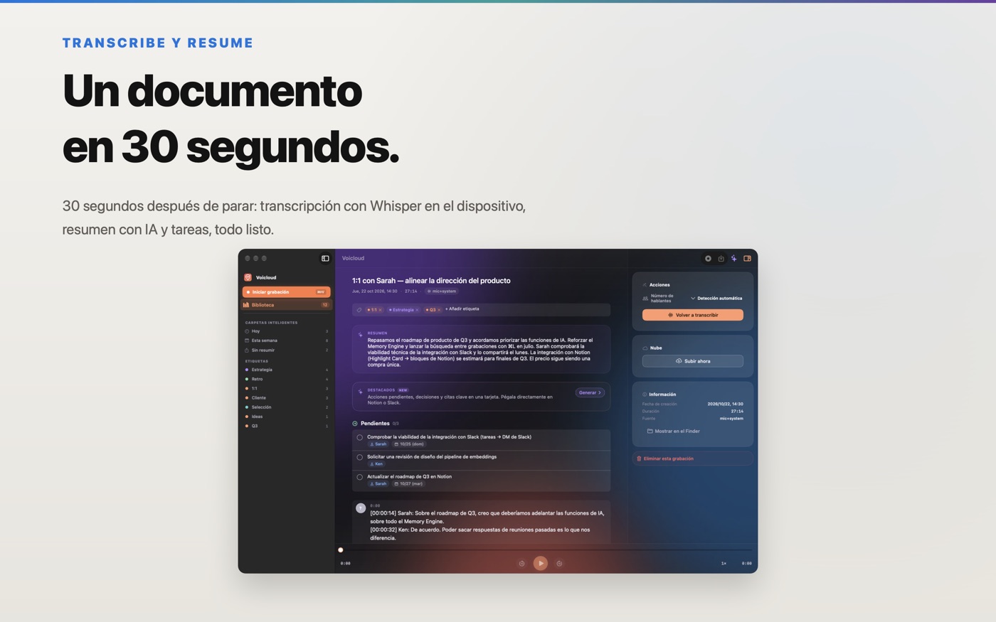 Transcripción y resumen